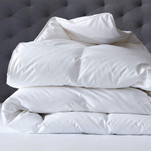 Renee taylor 600 gsm deluxe - 600,